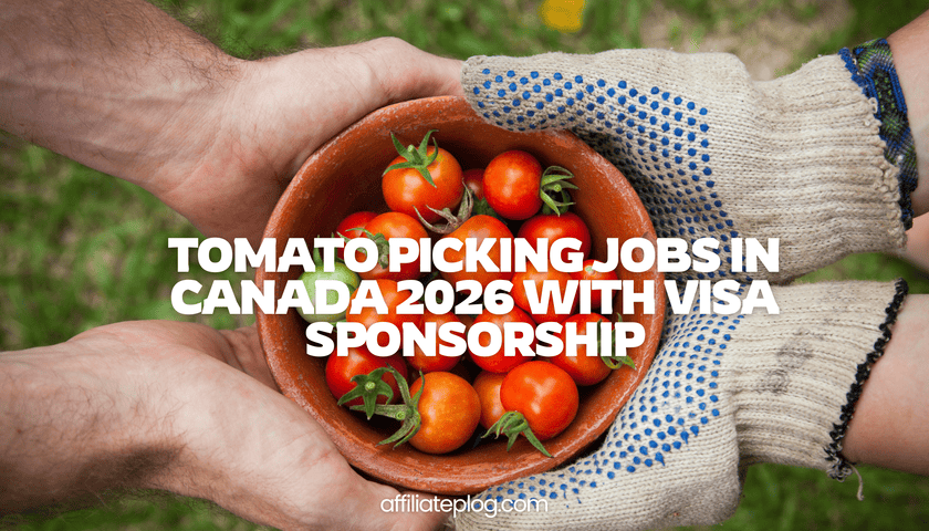 Tomato Picking Jobs in Canada 2026 with Visa Sponsorship • Apply Now
