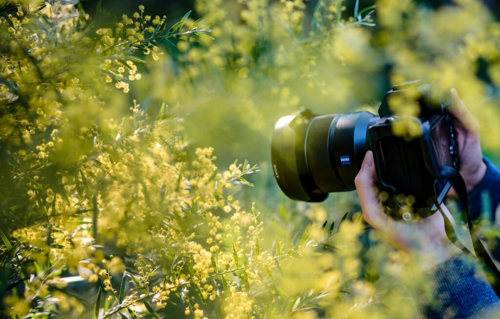 Choose Platforms and Upload Strategically to Earn from Stock Photography