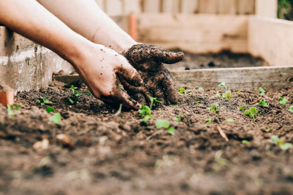 Qualifications for Groundskeeper Visa Sponsorship in Australia