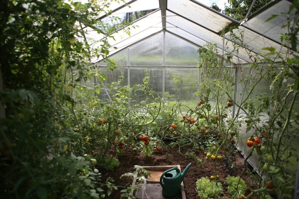 Locations of Tomato Farms In Canada