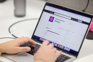 Introductions of Platforms: Growth Powered by High Payouts