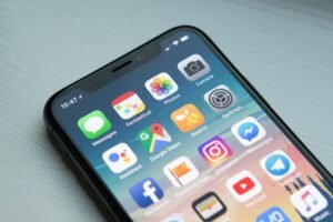 Regulations and User Rights: A Shifting Landscape in Monkey Making Apps