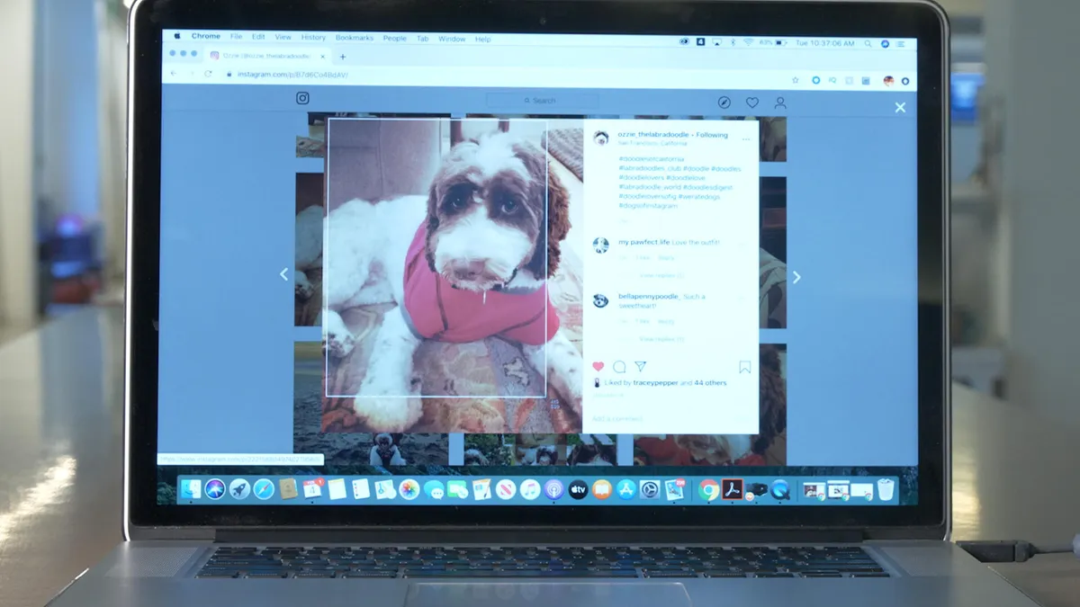Easy Guide: How to Take Scrolling Screenshot on Mac 2026 (Step-by-Step)